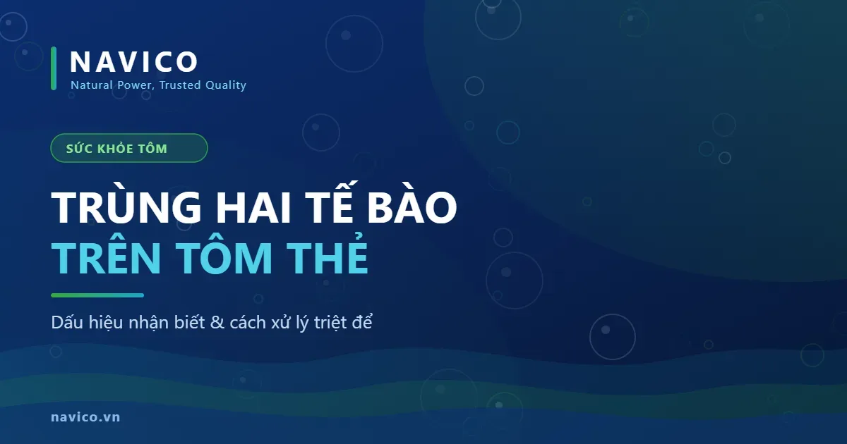 Trùng Hai Tế Bào Trên Tôm: Dấu Hiệu Và Cách Xử Lý Triệt Để