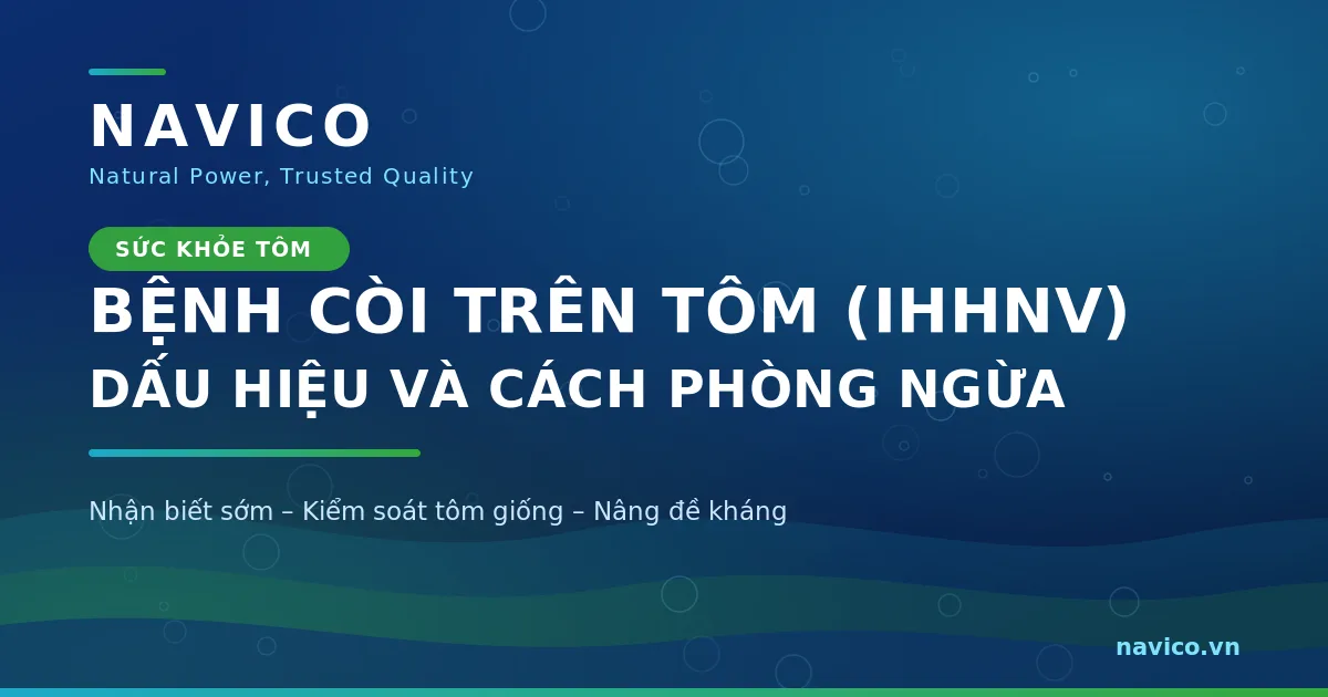 Bệnh Còi Trên Tôm (IHHNV): Dấu Hiệu Và Cách Phòng Ngừa