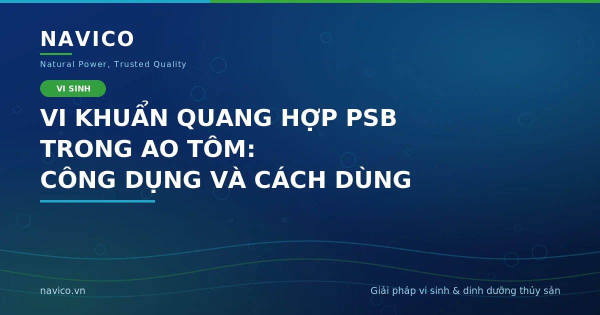 Vi Khuẩn Quang Hợp PSB Trong Ao Tôm: Công Dụng Và Cách Dùng