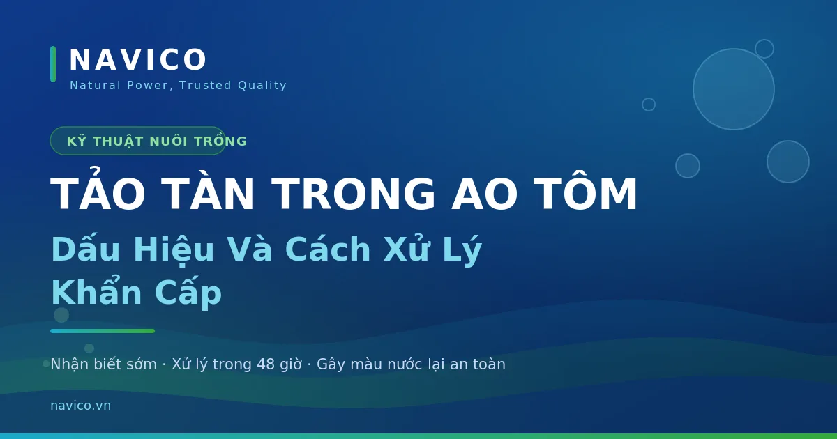 Tảo Tàn Trong Ao Tôm: Dấu Hiệu Và Cách Xử Lý Khẩn Cấp
