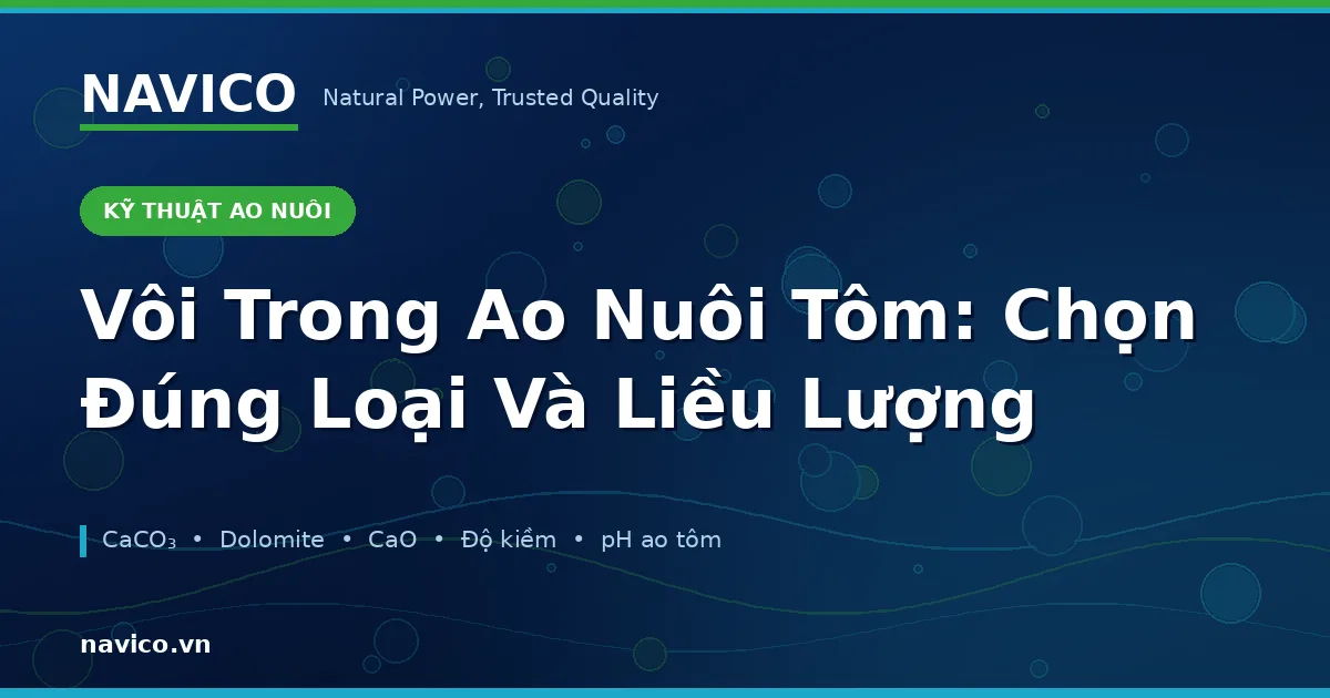 Vôi Trong Ao Nuôi Tôm: Chọn Đúng Loại Và Liều Lượng