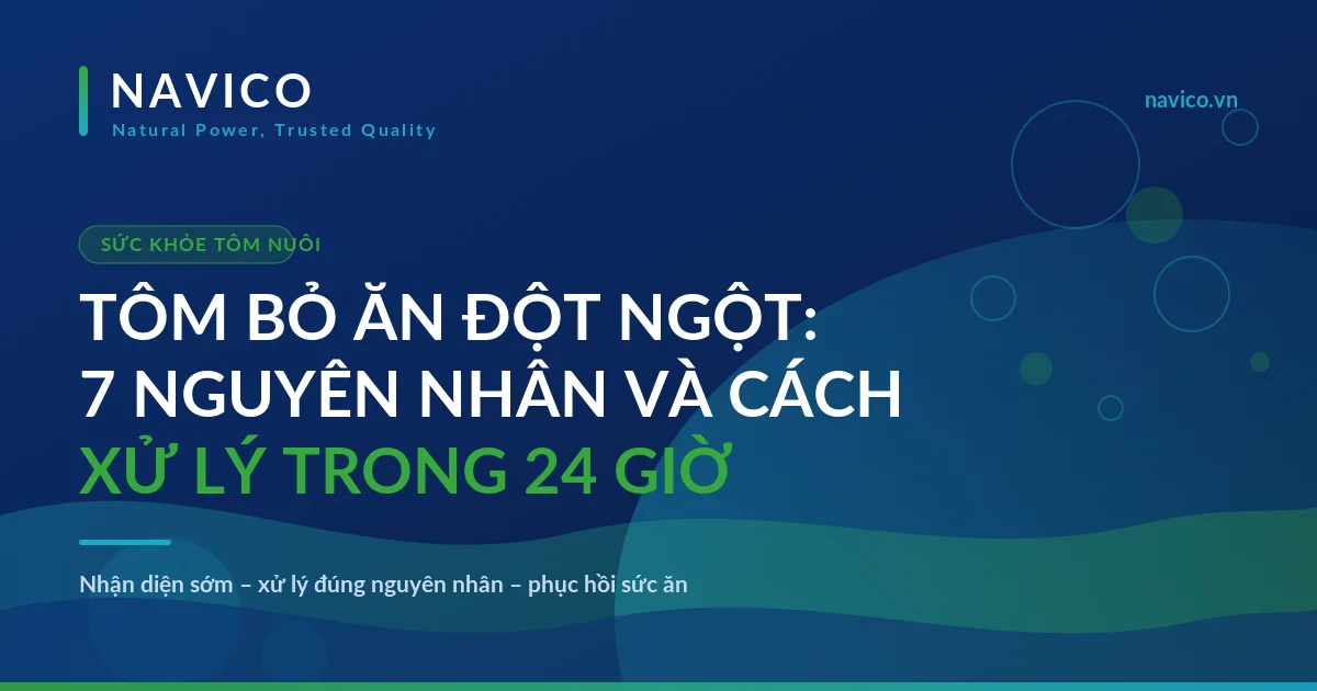 Tôm Bỏ Ăn Đột Ngột: 7 Nguyên Nhân Và Cách Xử Lý Trong 24h