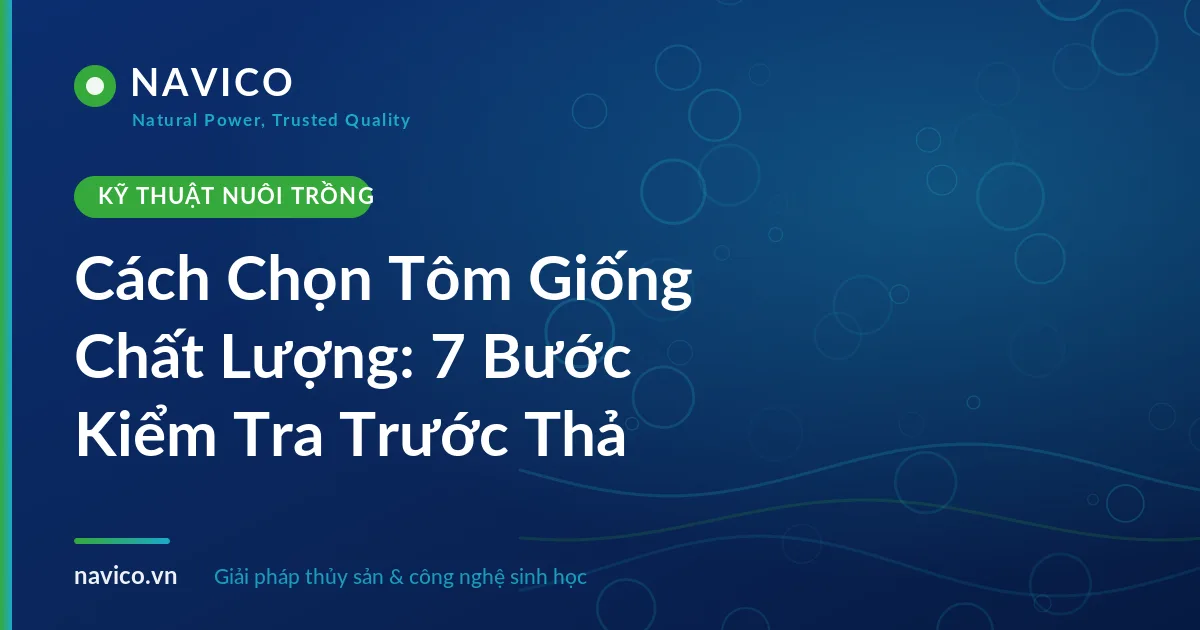 Cách Chọn Tôm Giống Chất Lượng: 7 Bước Kiểm Tra Trước Thả