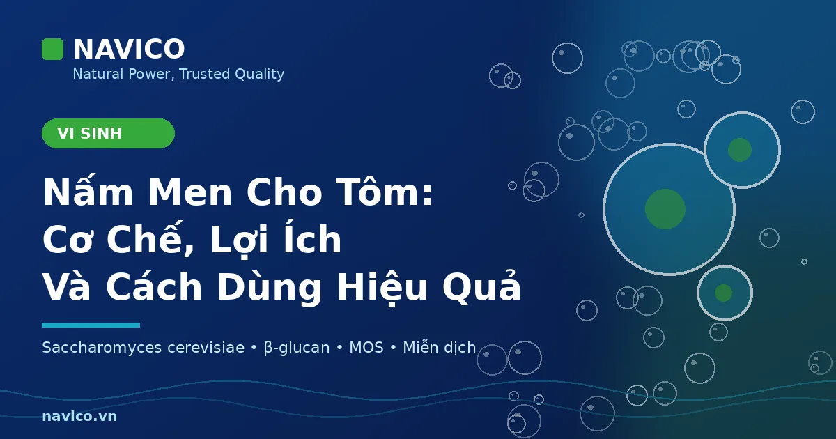 Nấm Men Cho Tôm: Cơ Chế, Lợi Ích Và Cách Dùng Hiệu Quả