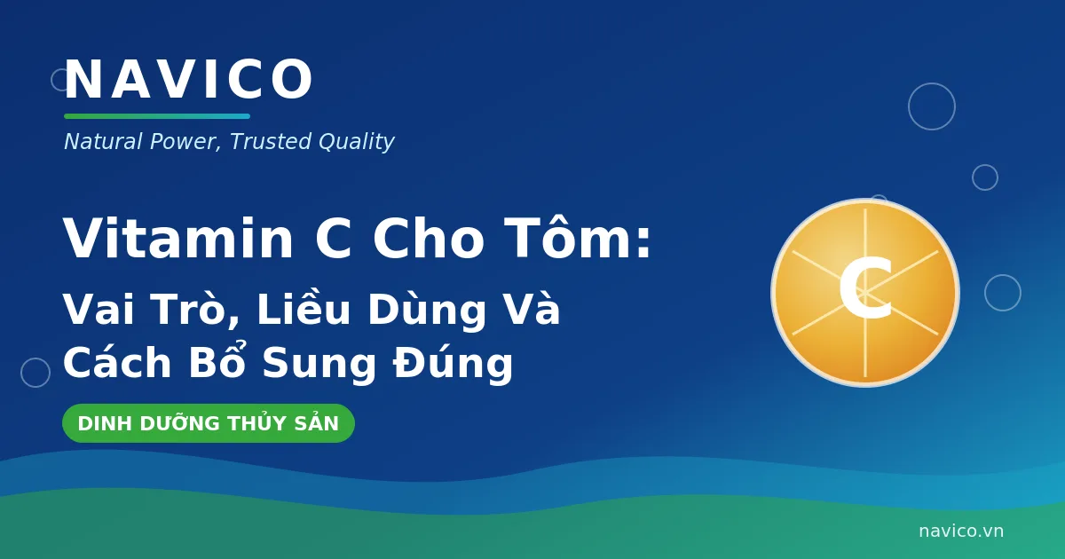 Vitamin C Cho Tôm: Vai Trò, Liều Dùng Và Cách Bổ Sung Đúng