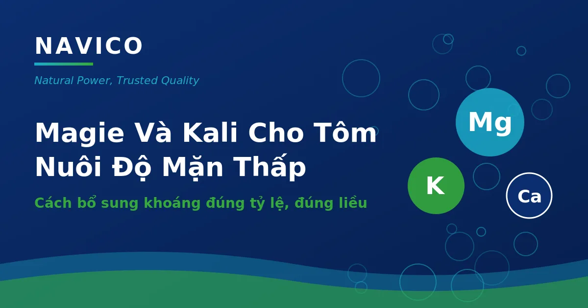 Magie Và Kali Cho Tôm Nuôi Độ Mặn Thấp: Cách Bổ Sung Đúng