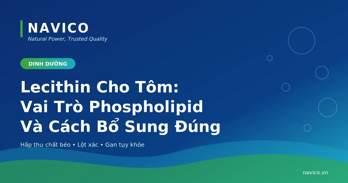 Lecithin Cho Tôm: Vai Trò Phospholipid Và Cách Bổ Sung Đúng