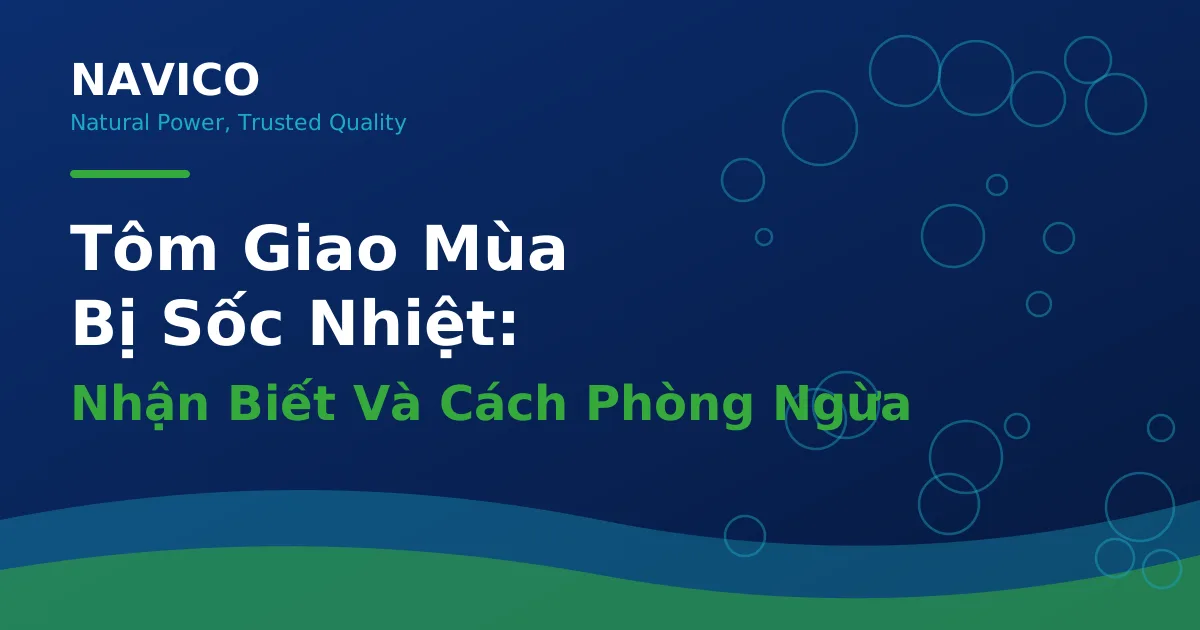 Tôm Giao Mùa Bị Sốc Nhiệt: Nhận Biết Và Cách Phòng Ngừa