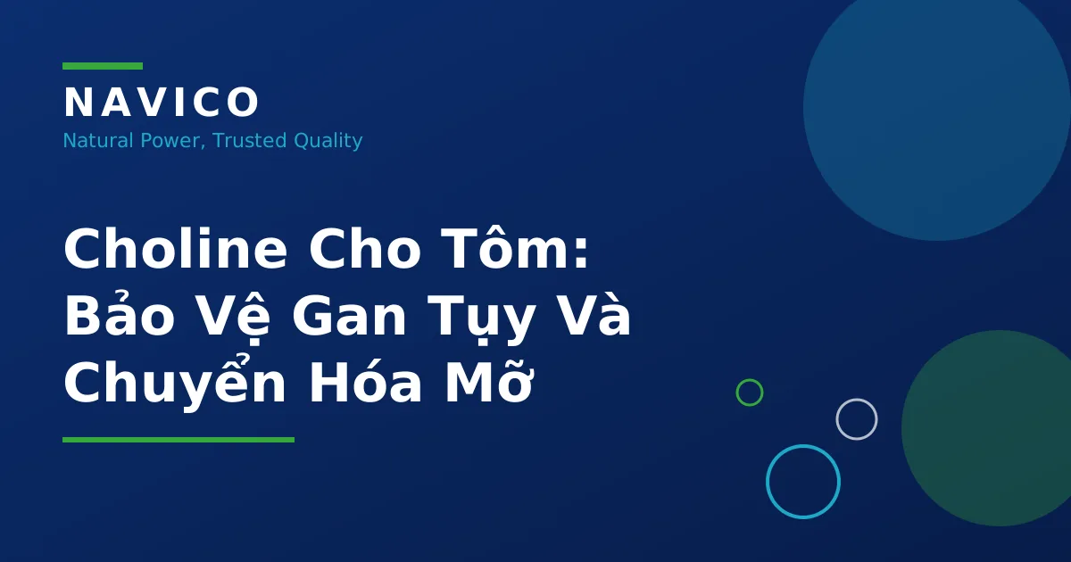 Choline Cho Tôm: Vai Trò Với Gan Tụy Và Cách Bổ Sung Đúng
