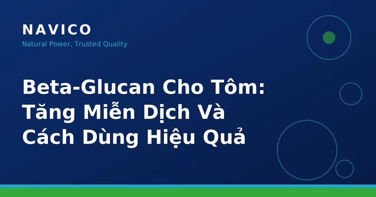 Beta-Glucan Cho Tôm: Tăng Miễn Dịch Và Cách Dùng Hiệu Quả