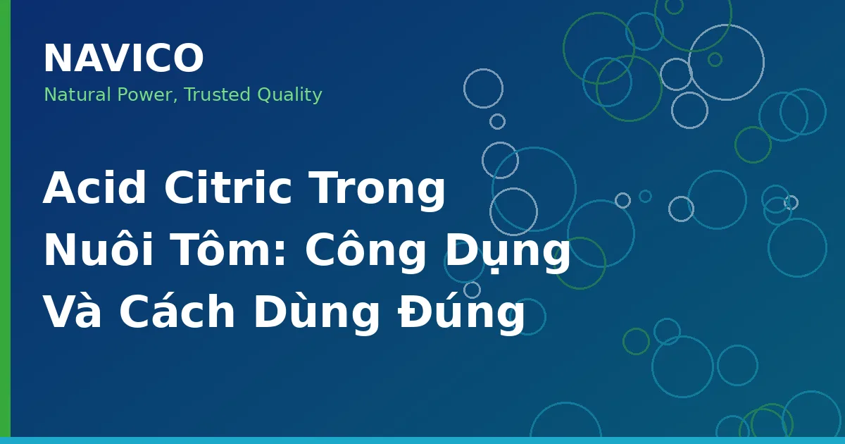 Acid Citric Trong Nuôi Tôm: Công Dụng Và Cách Dùng Đúng