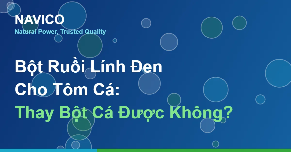 Bột Ruồi Lính Đen Cho Tôm Cá: Thay Bột Cá Được Không?